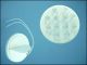 ULTRA 12W1512 12-LED 0,7W 15C WHITE