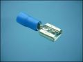 TERMINAL F FDD2-250 6,3x0,8mm INS BLUE