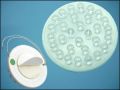 ULTRA 12G12030 30-LED 1,8W 120C GREEN