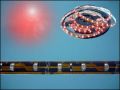LL3528-60R IP-65 RED/ЧЕРВЕНА