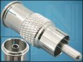 ПРЕХОД RCA/M-TV/F AC-019 ЩИВТОВ/ГНЕЗДОВ