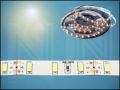 LL5630-60WW WARM WHITE/ТОПЛО БЯЛА