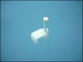 NAIL CLIPS 5,0mm FLAT