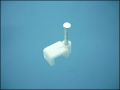 NAIL CLIPS 6,0mm FLAT