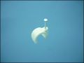 NAIL CLIPS ф4,0mm ROUND