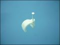 NAIL CLIPS ф5,0mm ROUND