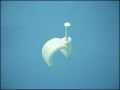 NAIL CLIPS ф6,0mm ROUND