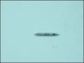ЦЕНТРОВО СВРЕДЛО A Ф 1,0 /3mm HSS