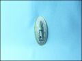 ЛЕПИЛО JIP SUPER GLUE POWER GEL 3g