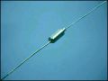 C 10MF 20V ТАНТАЛОВ 4,1x15mm 15,24mm
